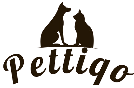 Pettiqo